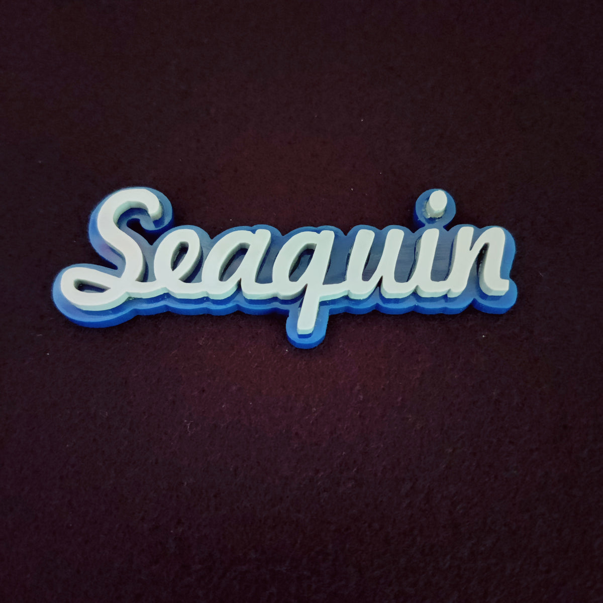Seaqin Acrylic Magnetic Pin