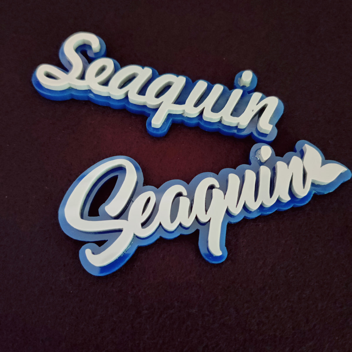 Seaqin Acrylic Magnetic Pin